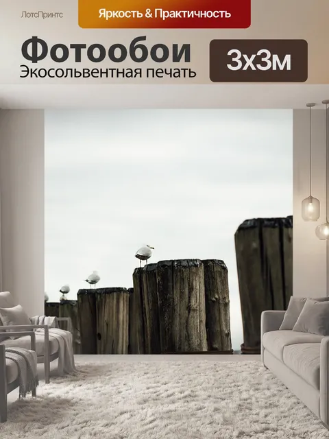 Фотообои Чайки