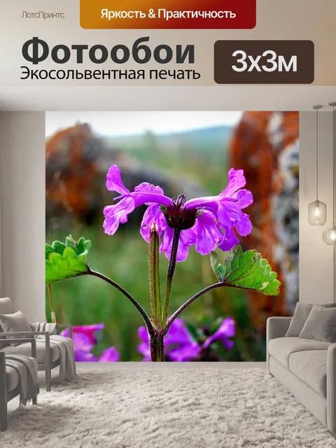 Фотообои Цветы
