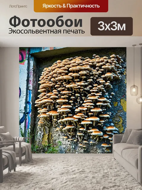 Фотообои грибы плесневые, растущие на заброшенном здании, с разрушающимися стенами и граффити