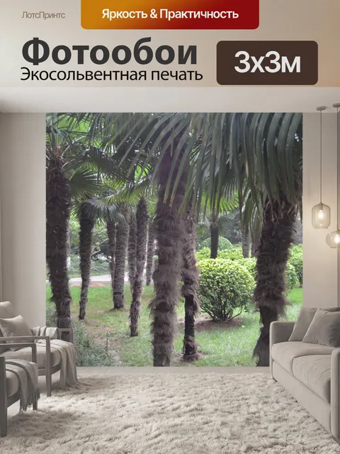 Фотообои пальмовые деревья