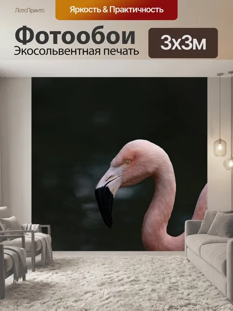 Фотообои Профиль пользователя Flamingo