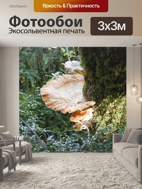 Фотообои Природа