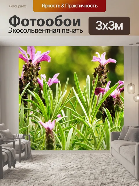 Фотообои Лаванда