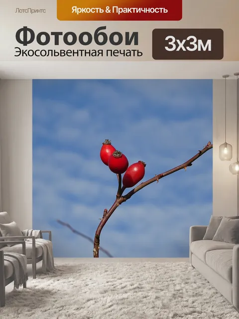 Фотообои Шиповник