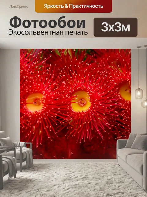 Фотообои Цветы эвкалипта