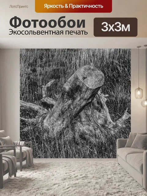 Фотообои Черно-белый