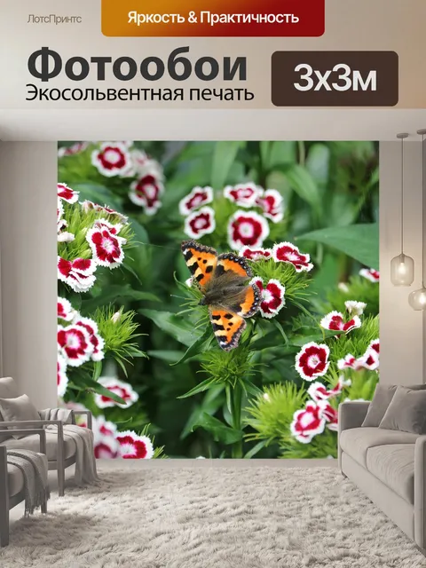 Фотообои Бабочка