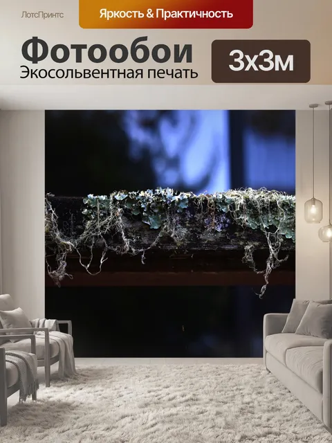 Фотообои Грибной узор на дереве