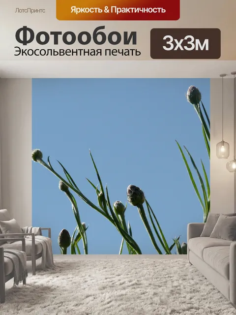Фотообои Бутон