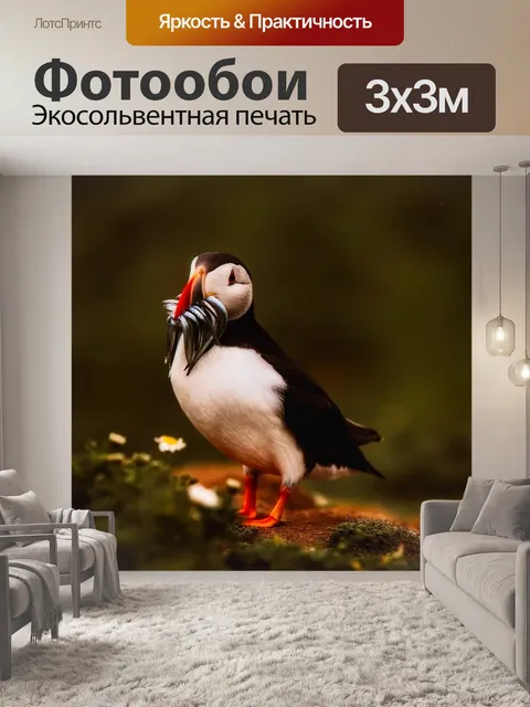 Фотообои Тупик