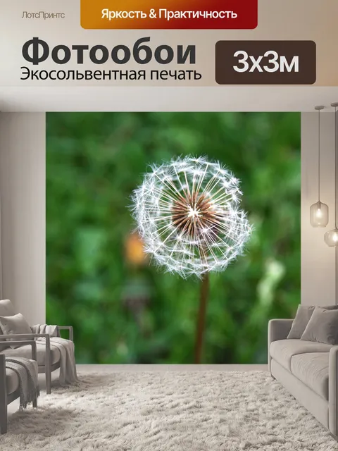 Фотообои Одуванчик