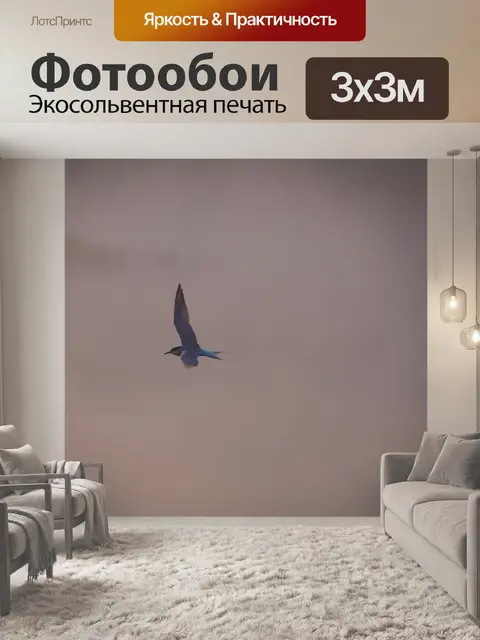Фотообои Крачка в туман