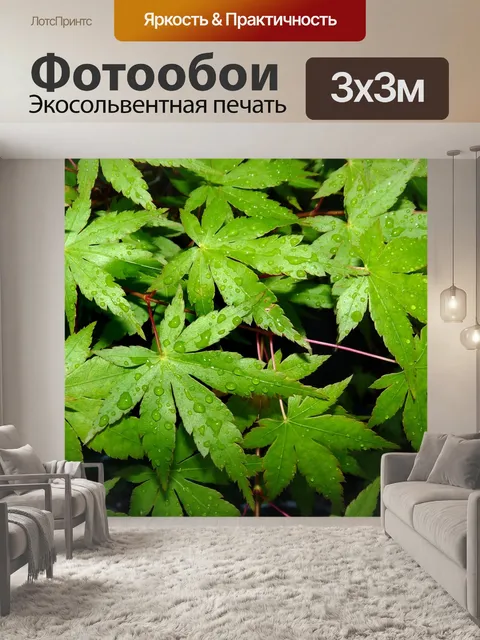 Фотообои Листья