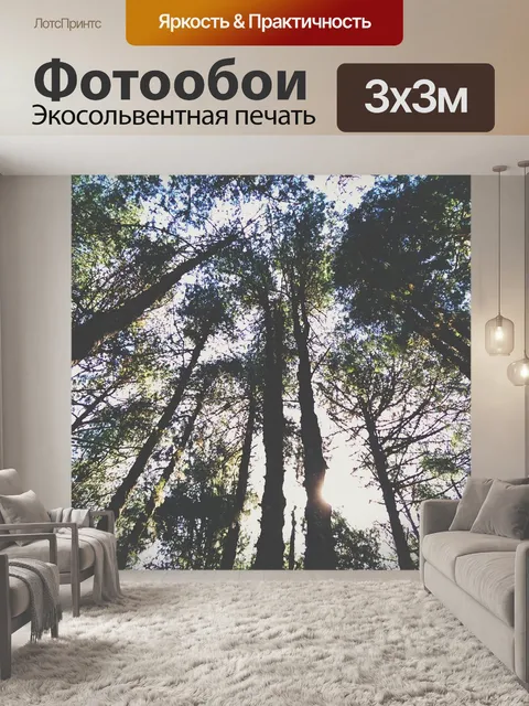 Фотообои Лес