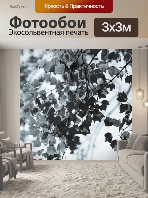 Фотообои Листья дерева в черные и белые