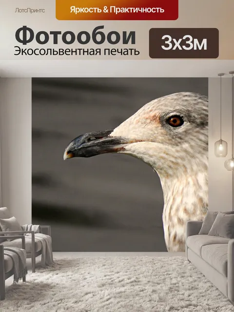 Фотообои С черной спиной