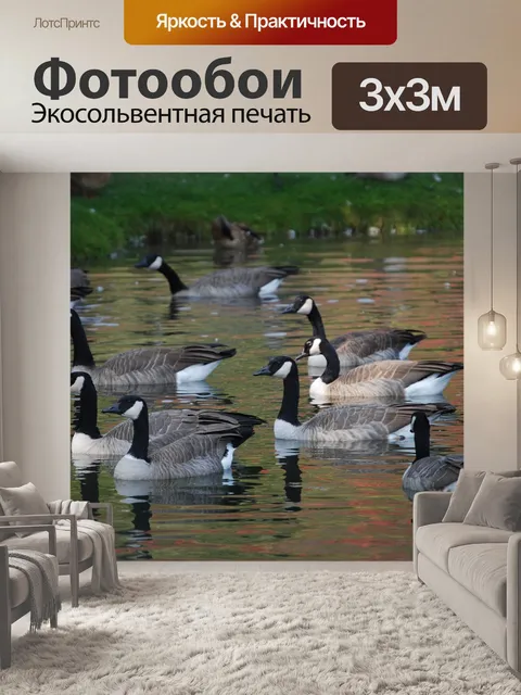 Фотообои Птицы