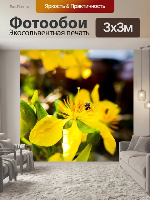 Фотообои Персиковый цветок