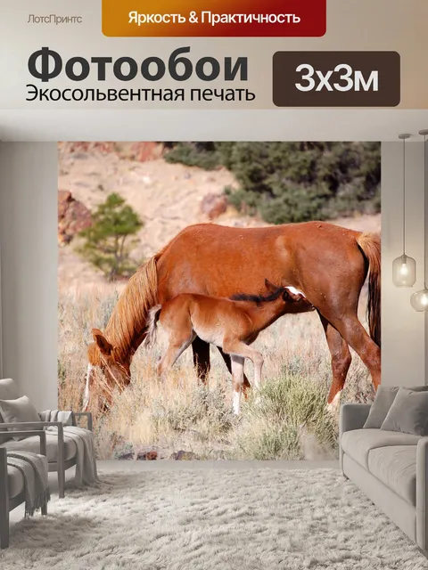 Фотообои Мустанг