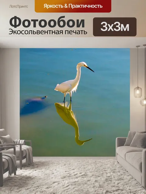 Фотообои Цапля