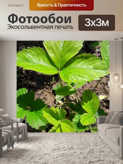 Фотообои Клубника