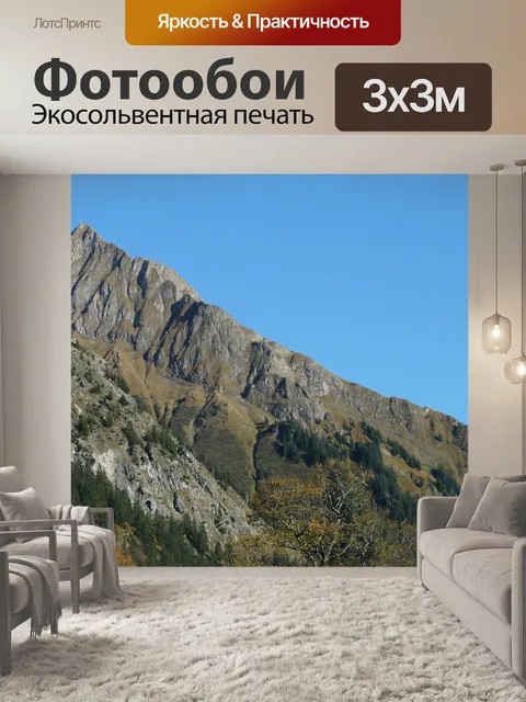 Фотообои Учтивость