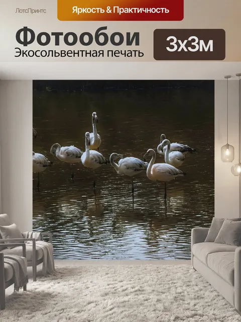 Фотообои Фламинго