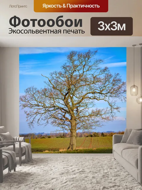 Фотообои Одинокое дерево