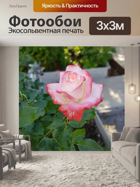 Фотообои Цветы