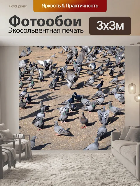 Фотообои Время обеда