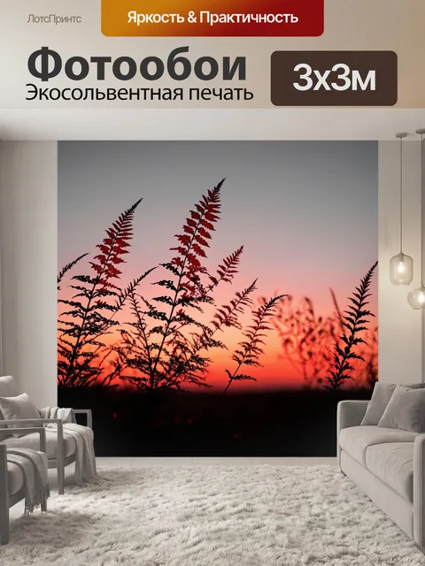 Фотообои силуэты красно-черных растений на фоне заката