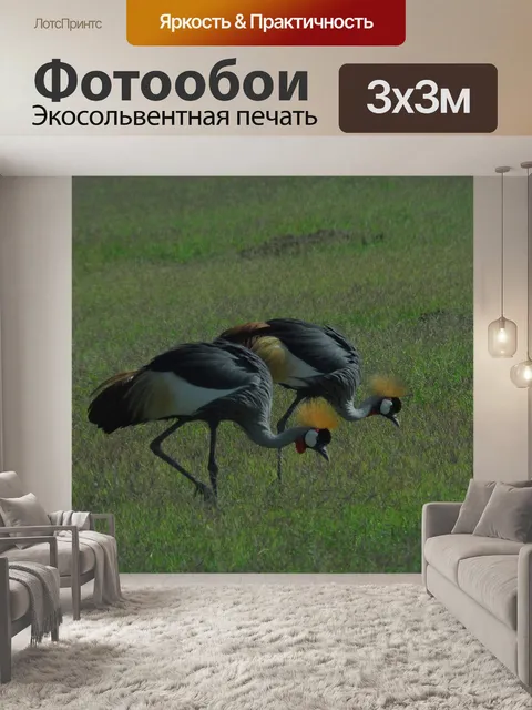 Фотообои Венценосные журавли
