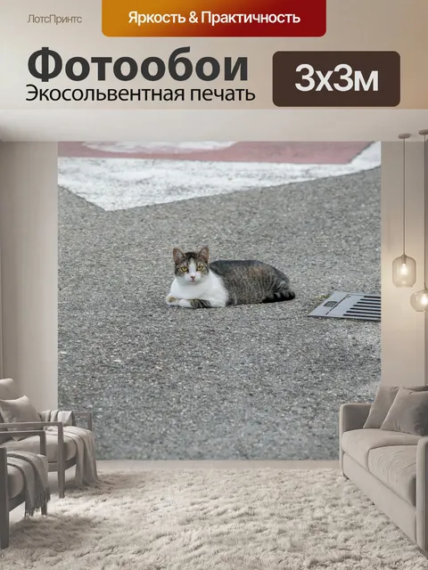 Фотообои Кошка