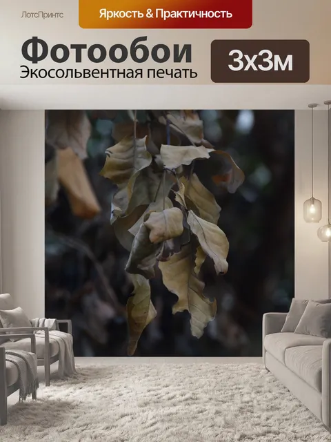 Фотообои Листья