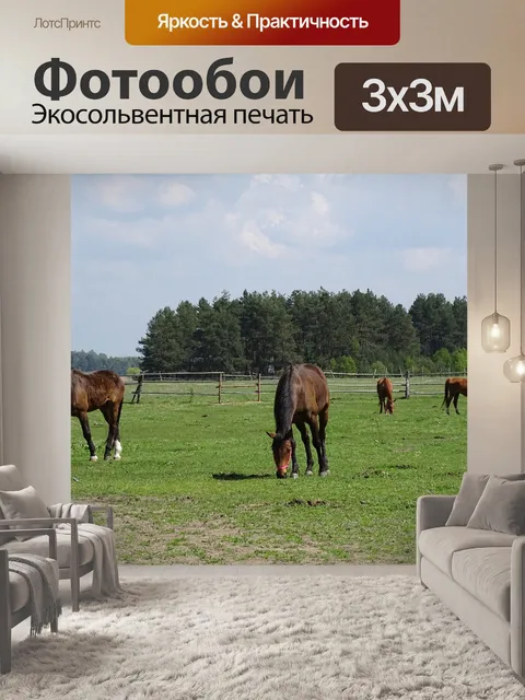 Фотообои Лошади