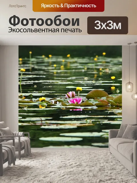 Фотообои Цветок кувшинки