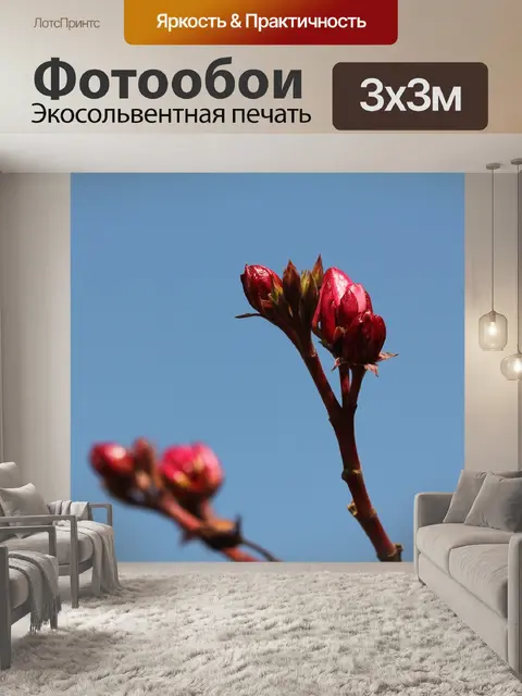 Фотообои Олеандр