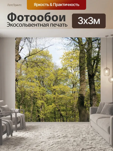 Фотообои деревья в парке, в Санкт-Петербурге