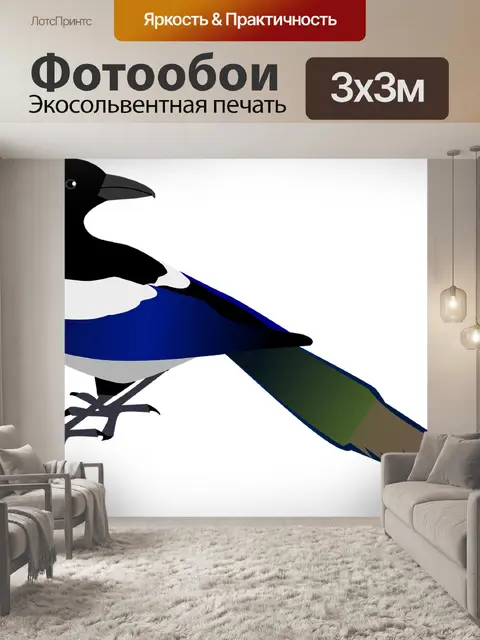 Фотообои Сорока