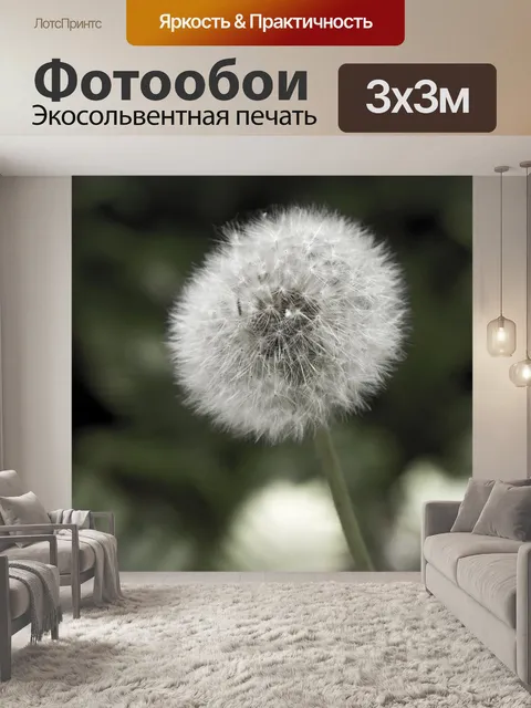 Фотообои Одуванчик