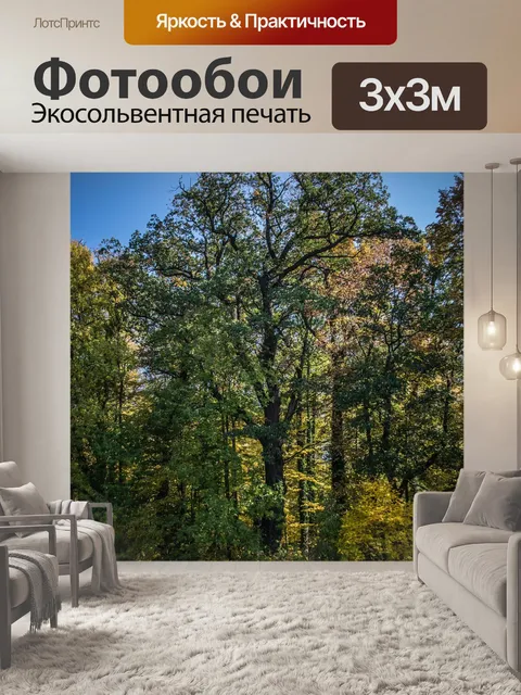 Фотообои Старый