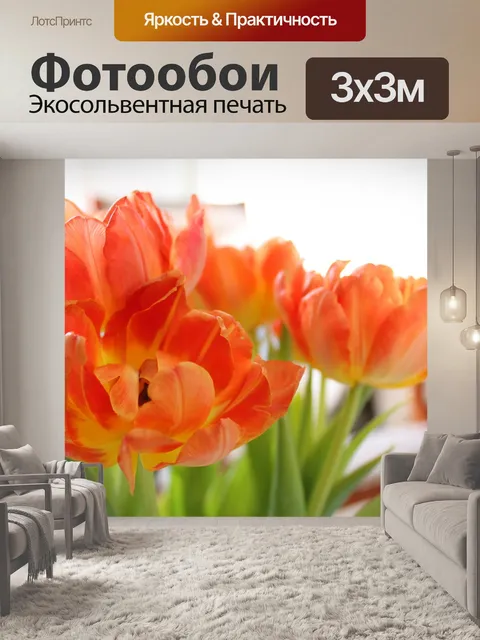Фотообои Тюльпаны