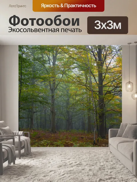Фотообои Туманный лес
