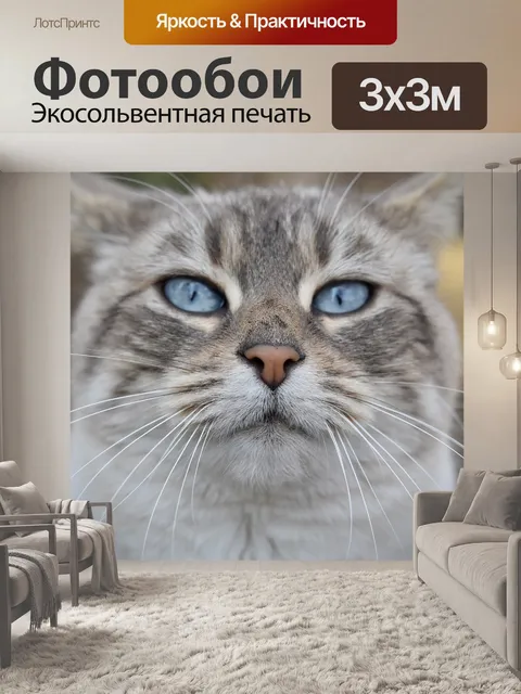 Фотообои Кошка