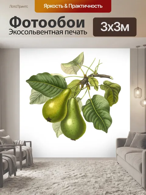 Фотообои Плоды груши винтажные