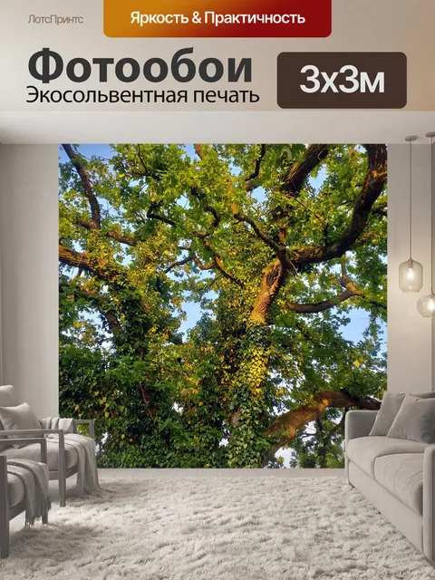 Фотообои Дуб плющ старый