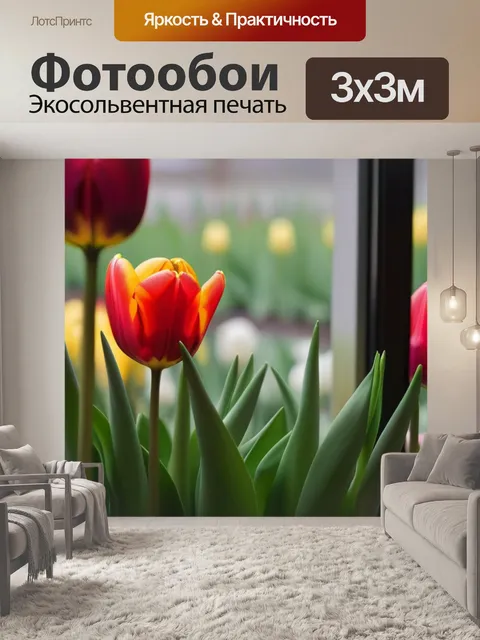Фотообои цветные тюльпаны у окна оранжереи