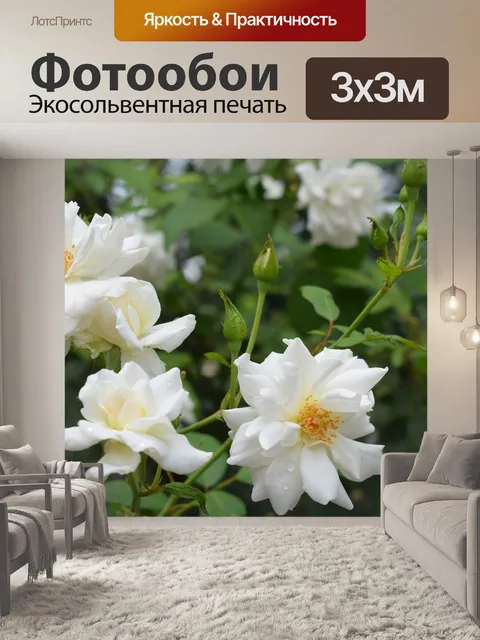 Фотообои Цветы