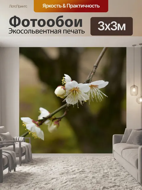 Фотообои Япония