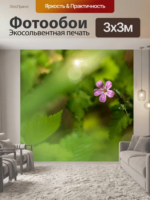 Фотообои Макрос